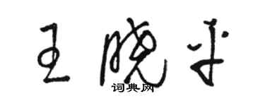 駱恆光王曉平草書個性簽名怎么寫