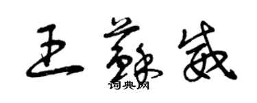 曾慶福王蘇威草書個性簽名怎么寫