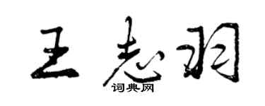 曾慶福王志羽行書個性簽名怎么寫