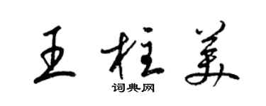 梁錦英王柱美草書個性簽名怎么寫