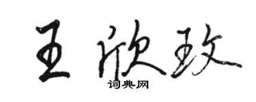 駱恆光王欣玫行書個性簽名怎么寫