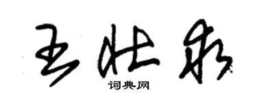 朱錫榮王壯求草書個性簽名怎么寫