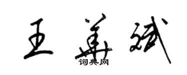 梁錦英王華斌草書個性簽名怎么寫