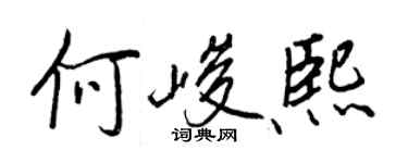 王正良何峻熙行書個性簽名怎么寫
