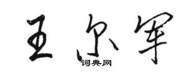 駱恆光王爾軍行書個性簽名怎么寫