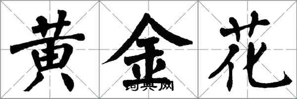 翁闓運黃金花楷書怎么寫