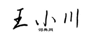 王正良王小川行書個性簽名怎么寫