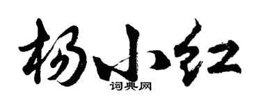 胡問遂楊小紅行書個性簽名怎么寫