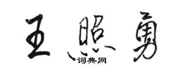 駱恆光王照勇行書個性簽名怎么寫