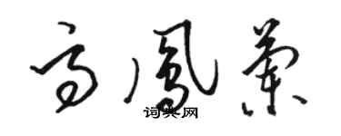 駱恆光高鳳蘭草書個性簽名怎么寫