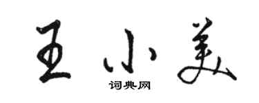 駱恆光王小美行書個性簽名怎么寫