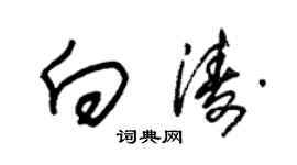 朱錫榮向濤草書個性簽名怎么寫