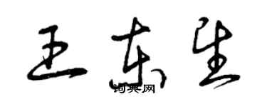 曾慶福王東望草書個性簽名怎么寫