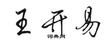 駱恆光王開易行書個性簽名怎么寫