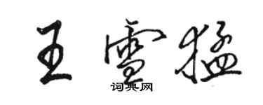 駱恆光王雪猛行書個性簽名怎么寫