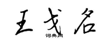 王正良王戈名行書個性簽名怎么寫