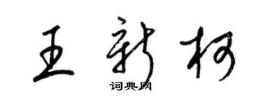 梁錦英王新柯草書個性簽名怎么寫