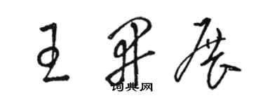 駱恆光王開展草書個性簽名怎么寫