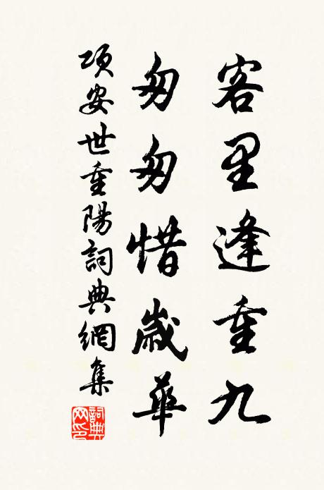 天公為我傳訊息，故遣梅花特地開 詩詞名句