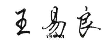 駱恆光王易良行書個性簽名怎么寫