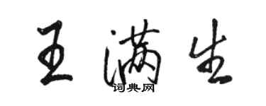 駱恆光王滿生行書個性簽名怎么寫