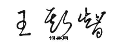 駱恆光王斯智草書個性簽名怎么寫