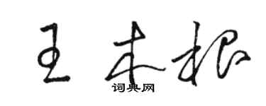 駱恆光王木根草書個性簽名怎么寫