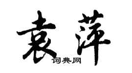 胡問遂袁萍行書個性簽名怎么寫