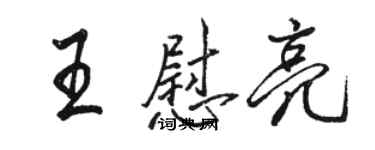 駱恆光王慰亮行書個性簽名怎么寫