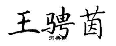 丁謙王騁茵楷書個性簽名怎么寫