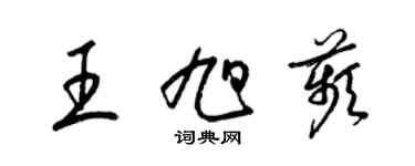 梁錦英王旭苹草書個性簽名怎么寫