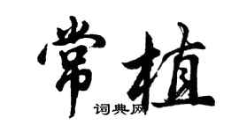 胡問遂常植行書個性簽名怎么寫