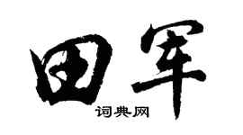 胡問遂田軍行書個性簽名怎么寫