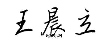 王正良王晨立行書個性簽名怎么寫
