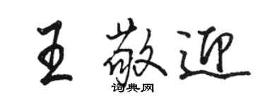 駱恆光王敬迎行書個性簽名怎么寫