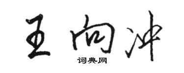 駱恆光王向沖行書個性簽名怎么寫
