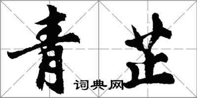 胡問遂青芷行書怎么寫