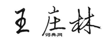 駱恆光王莊林行書個性簽名怎么寫