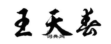 胡問遂王天春行書個性簽名怎么寫