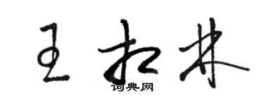 駱恆光王相林草書個性簽名怎么寫