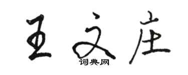 駱恆光王文莊行書個性簽名怎么寫