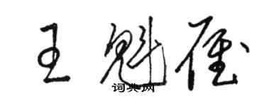 駱恆光王魁雁草書個性簽名怎么寫