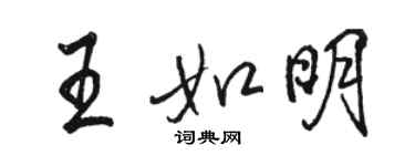 駱恆光王如明行書個性簽名怎么寫