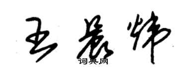 朱錫榮王晨煒草書個性簽名怎么寫