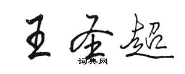 駱恆光王聖超行書個性簽名怎么寫