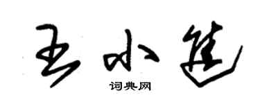 朱錫榮王小進草書個性簽名怎么寫