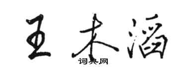 駱恆光王木滔行書個性簽名怎么寫