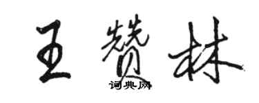 駱恆光王贊林行書個性簽名怎么寫