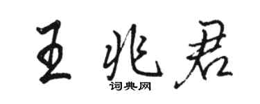 駱恆光王兆君行書個性簽名怎么寫