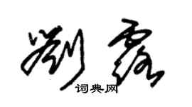 朱錫榮劉露草書個性簽名怎么寫